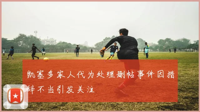 凯塞多家人代为处理删帖事件因措辞不当引发关注