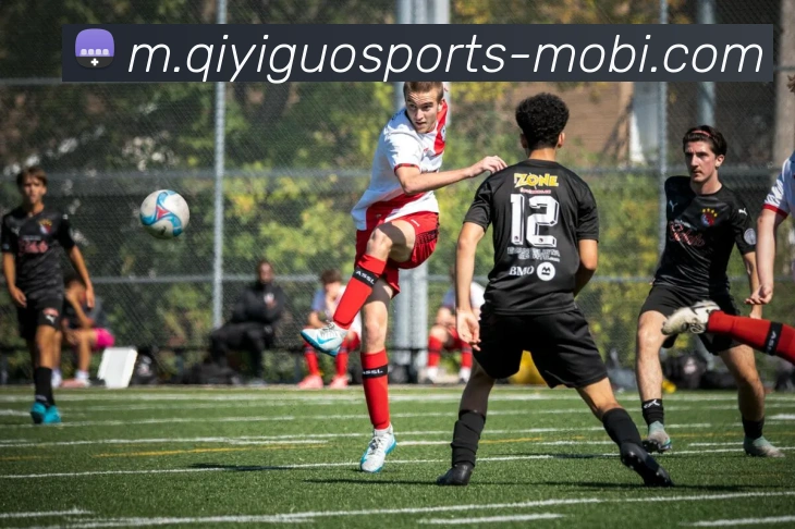 奇异果体育平台生态图